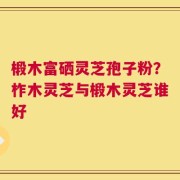 椴木富硒灵芝孢子粉？柞木灵芝与椴木灵芝谁好