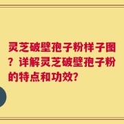 灵芝破壁孢子粉样子图？详解灵芝破壁孢子粉的特点和功效？