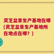 灵芝盆景生产基地在哪(灵芝盆景生产基地所在地点在哪？)