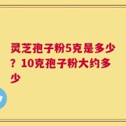 灵芝孢子粉5克是多少？10克孢子粉大约多少