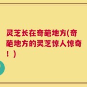 灵芝长在奇葩地方(奇葩地方的灵芝惊人惊奇！)