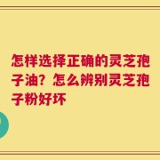 怎样选择正确的灵芝孢子油？怎么辨别灵芝孢子粉好坏