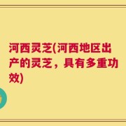 河西灵芝(河西地区出产的灵芝，具有多重功效)