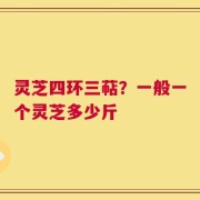 灵芝四环三萜？一般一个灵芝多少斤
