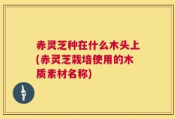 赤灵芝种在什么木头上(赤灵芝栽培使用的木质素材名称)