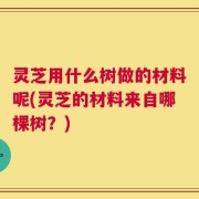 灵芝用什么树做的材料呢(灵芝的材料来自哪棵树？)