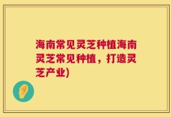 海南常见灵芝种植海南灵芝常见种植，打造灵芝产业)