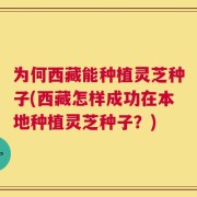 为何西藏能种植灵芝种子(西藏怎样成功在本地种植灵芝种子？)