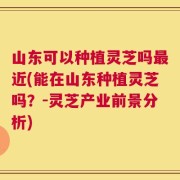 山东可以种植灵芝吗最近(能在山东种植灵芝吗？-灵芝产业前景分析)
