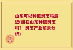 山东可以种植灵芝吗最近(能在山东种植灵芝吗？-灵芝产业前景分析)