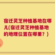 宿迁灵芝种植基地在哪儿(宿迁灵芝种植基地的地理位置在哪里？)