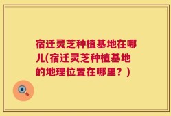 宿迁灵芝种植基地在哪儿(宿迁灵芝种植基地的地理位置在哪里？)