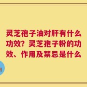 灵芝孢子油对肝有什么功效？灵芝孢子粉的功效、作用及禁忌是什么