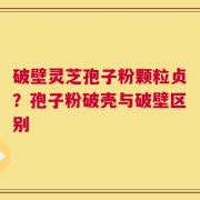 破壁灵芝孢子粉颗粒贞？孢子粉破壳与破壁区别