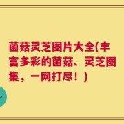 菌菇灵芝图片大全(丰富多彩的菌菇、灵芝图集，一网打尽！)