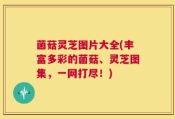 菌菇灵芝图片大全(丰富多彩的菌菇、灵芝图集，一网打尽！)