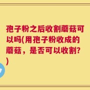 孢子粉之后收割蘑菇可以吗(用孢子粉收成的蘑菇，是否可以收割？)