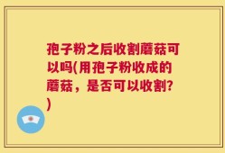 孢子粉之后收割蘑菇可以吗(用孢子粉收成的蘑菇，是否可以收割？)
