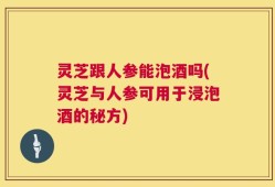 灵芝跟人参能泡酒吗(灵芝与人参可用于浸泡酒的秘方)