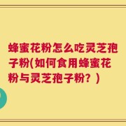 蜂蜜花粉怎么吃灵芝孢子粉(如何食用蜂蜜花粉与灵芝孢子粉？)