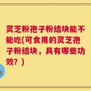 灵芝粉孢子粉结块能不能吃(可食用的灵芝孢子粉结块，具有哪些功效？)
