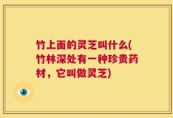 竹上面的灵芝叫什么(竹林深处有一种珍贵药材，它叫做灵芝)