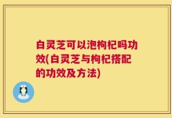 白灵芝可以泡枸杞吗功效(白灵芝与枸杞搭配的功效及方法)