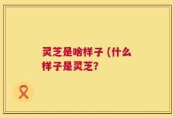 灵芝是啥样子 (什么样子是灵芝？
