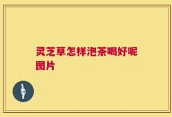 灵芝草怎样泡茶喝好呢图片