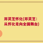 邓灵芝怀化(邓灵芝：从怀化走向全国舞台)