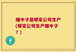 硼中子是哪家公司生产(哪家公司生产硼中子？)