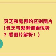 灵芝和鬼柳的区别图片(灵芝与鬼柳谁更优势？看图片解析！)