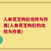 人参灵芝枸杞功效与作用(人参灵芝枸杞的功效与作用)