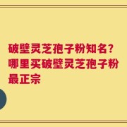 破壁灵芝孢子粉知名？哪里买破壁灵芝孢子粉最正宗