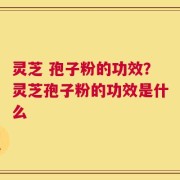 灵芝 孢子粉的功效？灵芝孢子粉的功效是什么