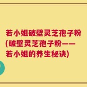 若小姐破壁灵芝孢子粉(破壁灵芝孢子粉——若小姐的养生秘诀)