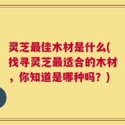 灵芝最佳木材是什么(找寻灵芝最适合的木材，你知道是哪种吗？)