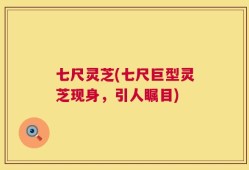 七尺灵芝(七尺巨型灵芝现身，引人瞩目)
