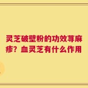 灵芝破壁粉的功效荨麻疹？血灵芝有什么作用