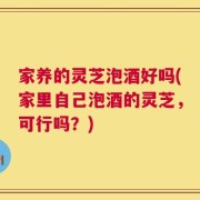 家养的灵芝泡酒好吗(家里自己泡酒的灵芝，可行吗？)