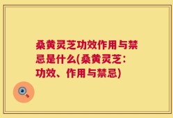 桑黄灵芝功效作用与禁忌是什么(桑黄灵芝：功效、作用与禁忌)