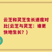 云芝和灵芝生长速度对比(云芝与灵芝：谁更快地生长？)