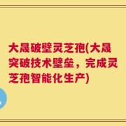 大晟破壁灵芝孢(大晟突破技术壁垒，完成灵芝孢智能化生产)