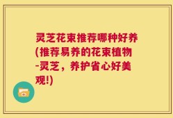 灵芝花束推荐哪种好养(推荐易养的花束植物-灵芝，养护省心好美观!)