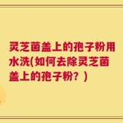 灵芝菌盖上的孢子粉用水洗(如何去除灵芝菌盖上的孢子粉？)