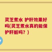 灵芝煮水 护肝效果好吗(灵芝煮水真的能保护肝脏吗？)