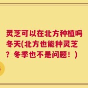 灵芝可以在北方种植吗冬天(北方也能种灵芝？冬季也不是问题！)