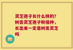 灵芝孢子长什么样的？树舌灵芝孢子粉接种，长出来一定是树舌灵芝吗