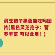 灵芝孢子黑色能吃吗图片(黑色灵芝孢子：营养丰富 可以食用！)