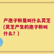 产孢子粉是叫什么灵芝(灵芝产生的孢子粉叫什么？)